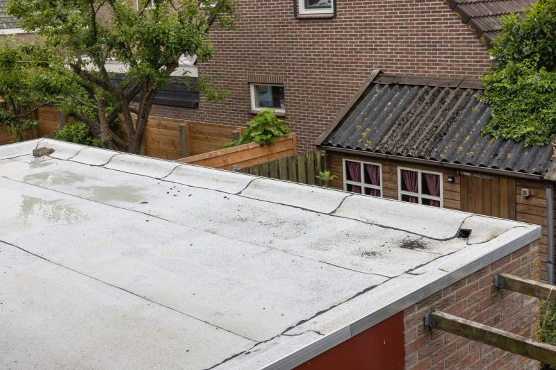 Roof Leak Detection Service